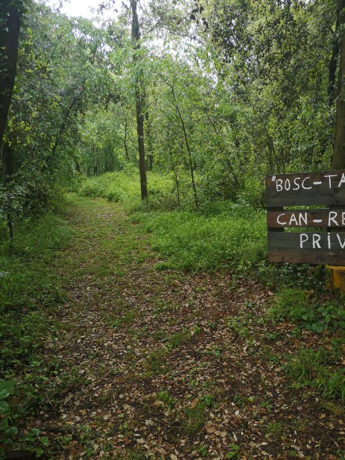 Can Resiu Seriñá Bagian luar foto