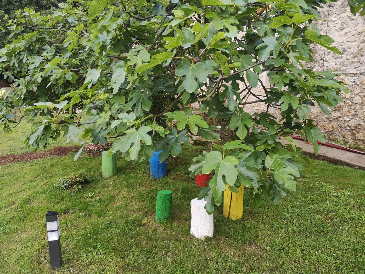 Can Resiu Seriñá Bagian luar foto