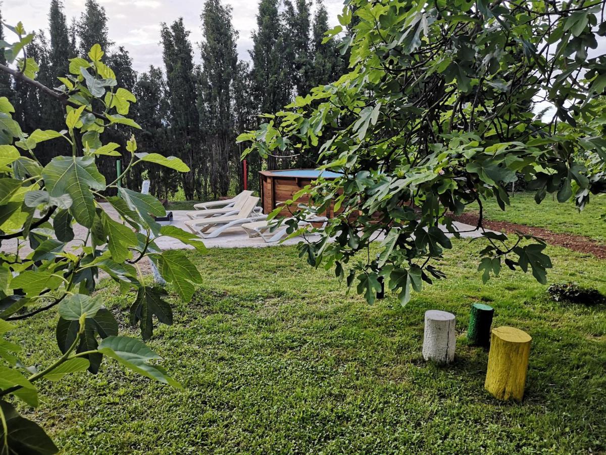 Can Resiu Seriñá Bagian luar foto