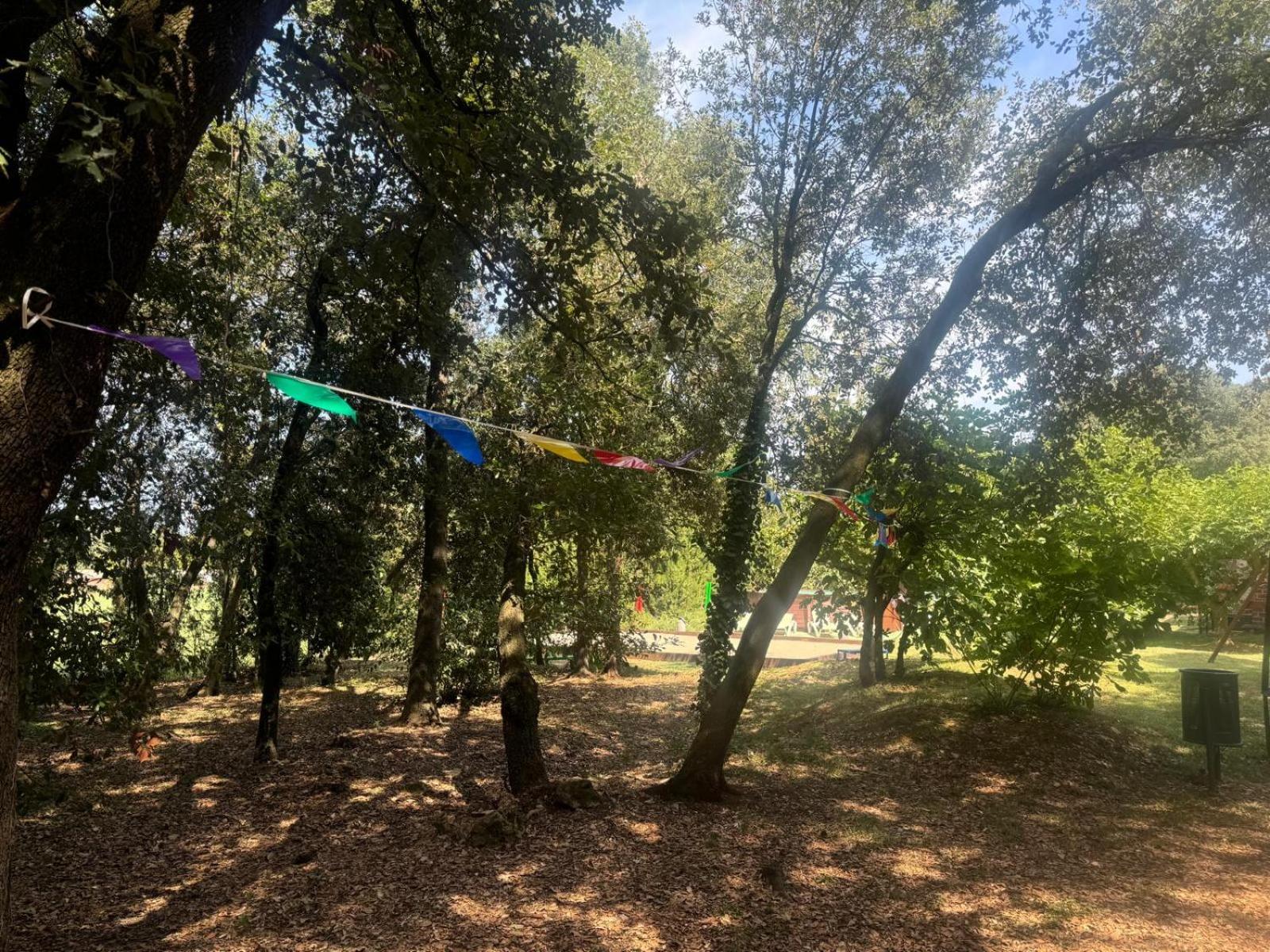 Can Resiu Seriñá Bagian luar foto